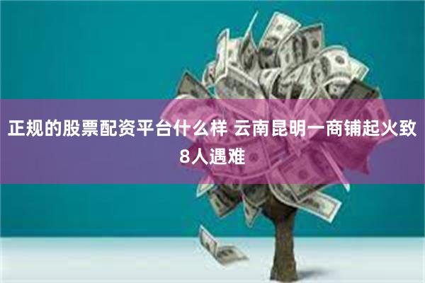 正规的股票配资平台什么样 云南昆明一商铺起火致8人遇难