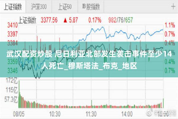 武汉配资炒股 尼日利亚北部发生袭击事件至少14人死亡_穆斯塔法_布克_地区