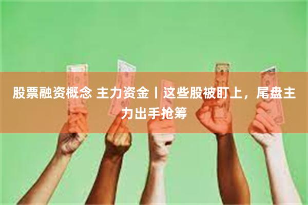 股票融资概念 主力资金丨这些股被盯上，尾盘主力出手抢筹
