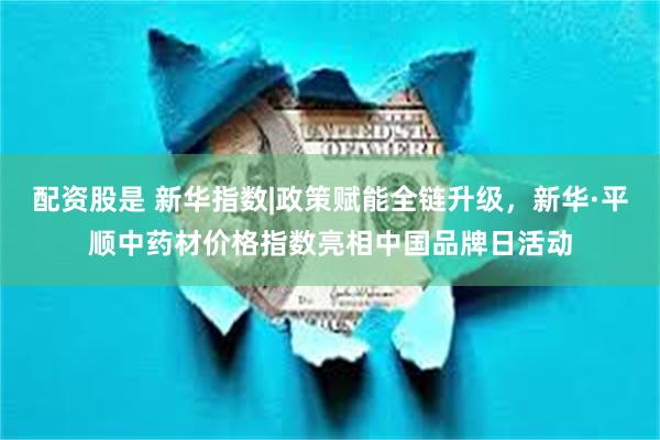 配资股是 新华指数|政策赋能全链升级，新华·平顺中药材价格指数亮相中国品牌日活动