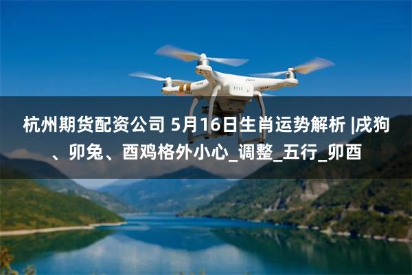杭州期货配资公司 5月16日生肖运势解析 |戌狗、卯兔、酉鸡格外小心_调整_五行_卯酉