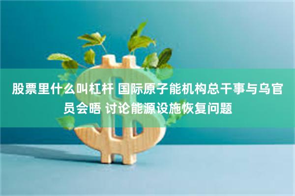 股票里什么叫杠杆 国际原子能机构总干事与乌官员会晤 讨论能源设施恢复问题