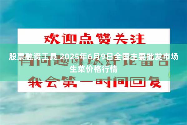 股票融资工具 2025年6月9日全国主要批发市场生菜价格行情