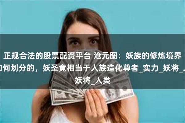 正规合法的股票配资平台 沧元图：妖族的修炼境界是如何划分的，妖圣竟相当于人族造化尊者_实力_妖将_人类